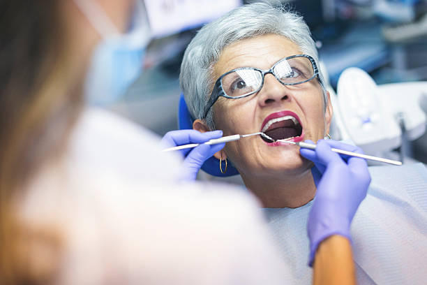Best Dental Bonding  in Forrest, IL